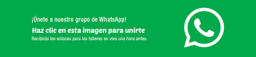 whatsapp consultas